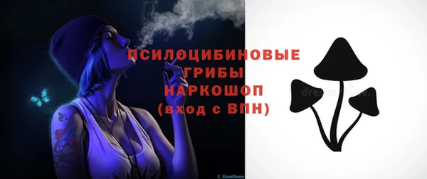 соль ск Ачинск