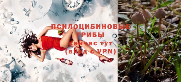 МДПВ Балахна