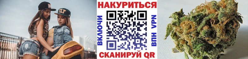 Бошки Шишки планчик  купить   Белокуриха 